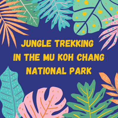 Guided jungle treks in the Mu Ko Chang National Park